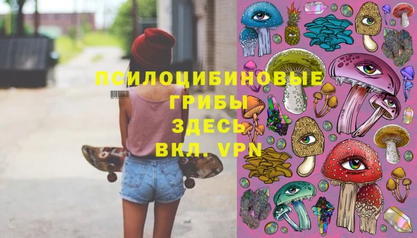 эйфоретик Алексин