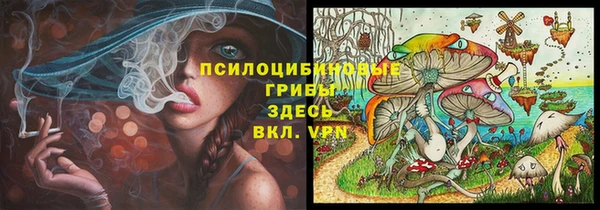 эйфоретик Алексин